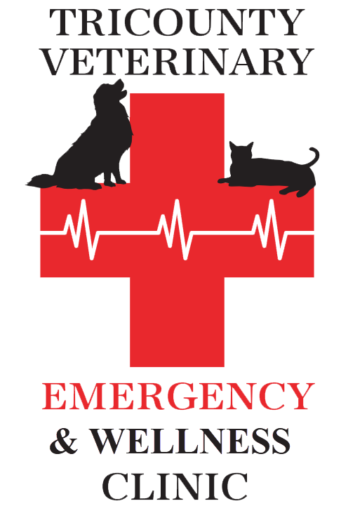 Logo 3